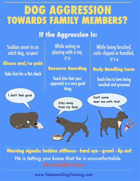  It is important to note that they may show aggression towards other dogs or smaller animals