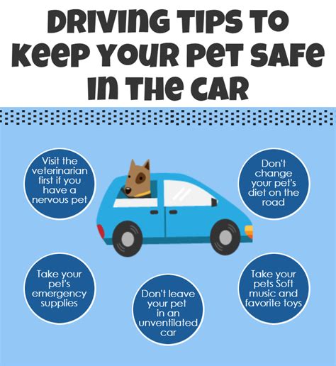  It is okay to keep walking and driving in search of your pet, but set hours for yourself