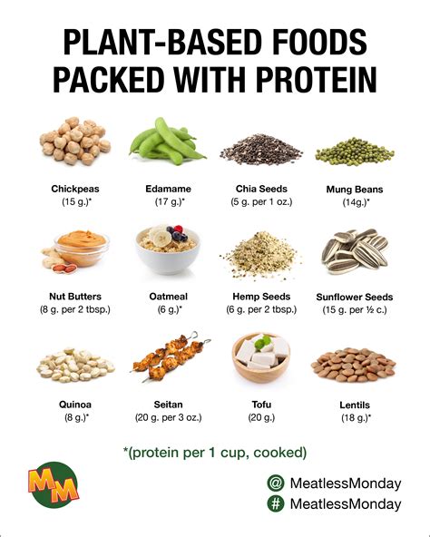  It is possible to get protein from plant-based ingredients, but these proteins are not as easy for your pup to absorb and use as meat-based proteins, like real chicken, are
