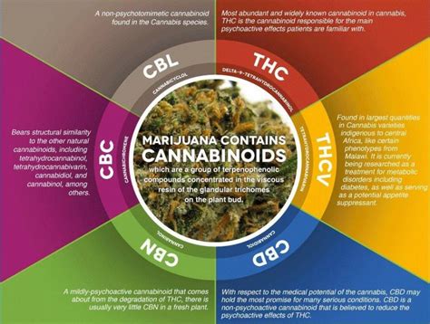  It is the cannabinoid in cannabis that is known for its psychoactive effects