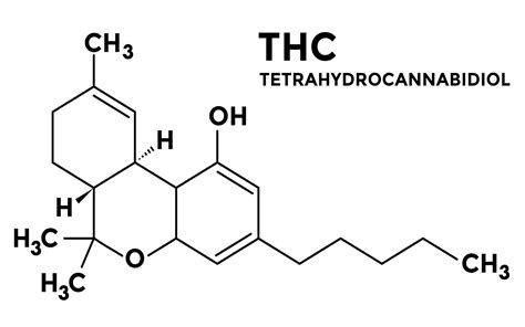  It is the second-most abundant cannabinoid compound in cannabis after tetrahydrocannabinol THC , famous for its psychoactive property