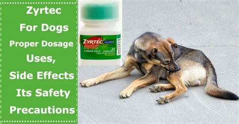  It is your job to be aware of the proper dosage that your dog requires to prevent these problems