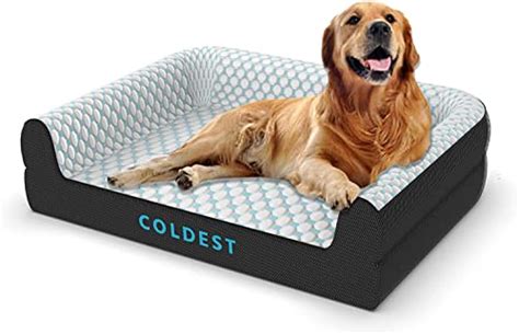  It keeps the dog cool and cozy all the time