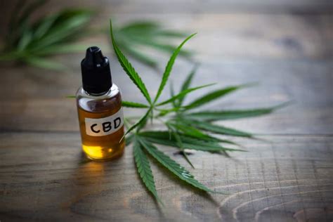  It may be hard to discern at first if the CBD oil is indeed the cause of your dog