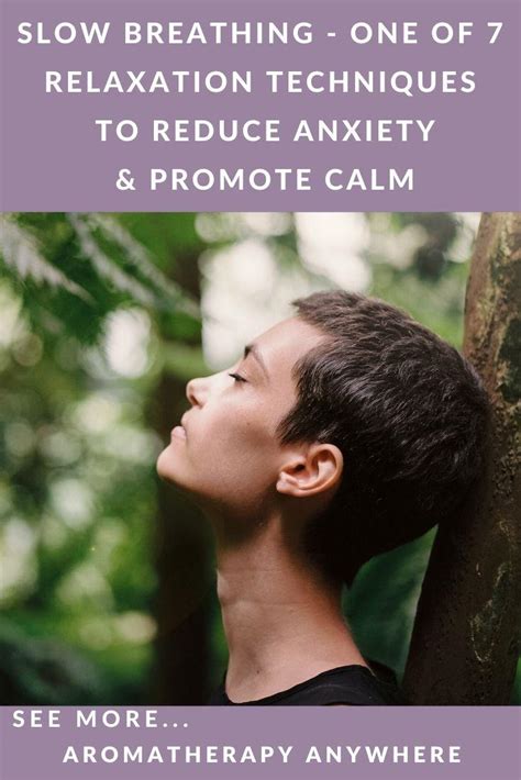 It may help calm anxiety, promote a sense of relaxation, and boost their immune system