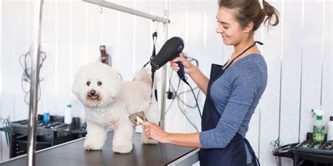  It seems that smaller dogs would benefit the most from going to PetSmart since the grooming price starts much lower and is usually based on size