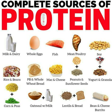  It should contain a combination of proteins from both plant and meat sources, as well as some grains