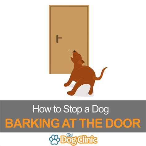 It will bark when someone comes to the door but quickly accept the visitors once welcomed inside