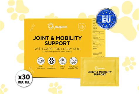  Joint and mobility support