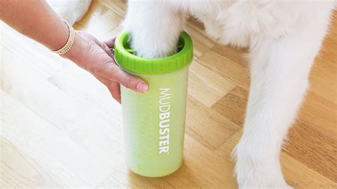  Just add a little water and doggy shampoo into the Mud Buster Dog Paw Cleaner, dip each paw in and dry them off
