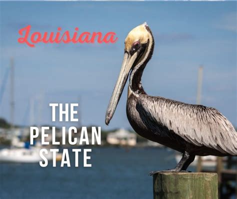  Just like the nickname for Louisiana