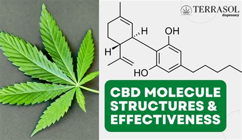  Keep in mind that the CBD molecule itself is the same regardless of the product type