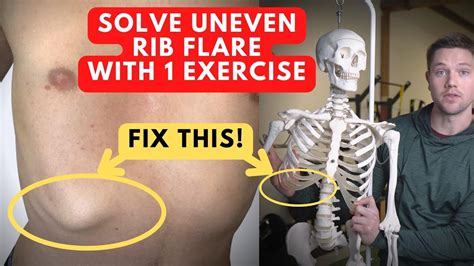  Keep repeating this process until you can detect a visible waist and can feel his rib cage when pressing along his sides