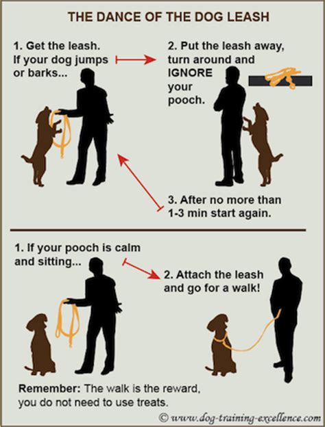  Keep them both on a leash; this way, you have control if anything happens