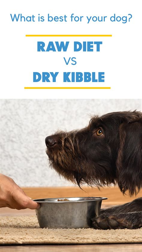  Kibble also typically lasts longer than raw or cooked food, so there is less potential for waste
