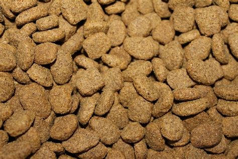  Kibble dry dog food is generally the preferred feeding method for dogs, particularly among large dog breed owners