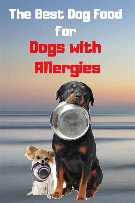  Lastly, some dogs may have sensitivities or allergies to certain additives or artificial ingredients found in non-organic treats