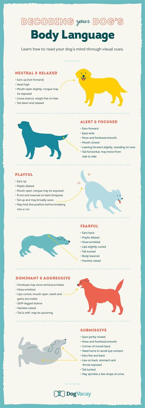  Learn all about your puppy
