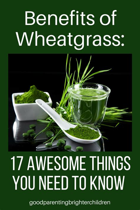  Learn more about Wheatgrass Love products here
