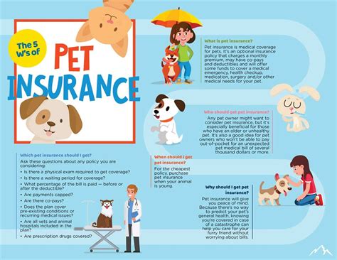  Learn more about how pet insurance could help you cover your pet