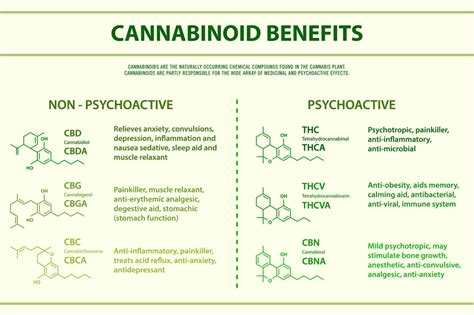  Lethargy Based on the research that has been conducted thus far, it appears that CBD is generally well-tolerated by dogs