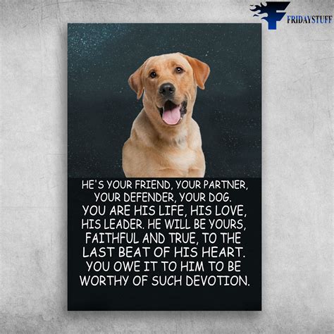  Life is much easier for your dog if you are in charge, leading, and providing for his needs
