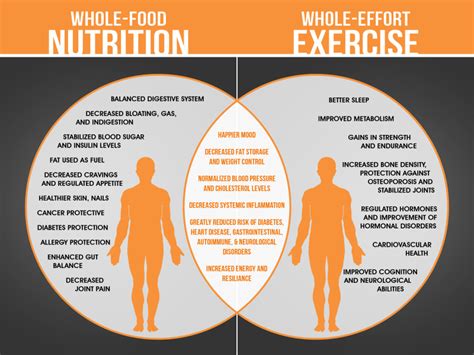  Like every other system in our bodies, the ECS also benefits from a good diet, stress management practices, and appropriate exercise
