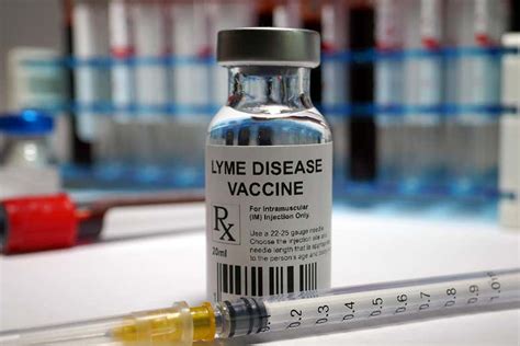  Likewise, if you take him on the trail with you, consider getting him a Lyme disease vaccine
