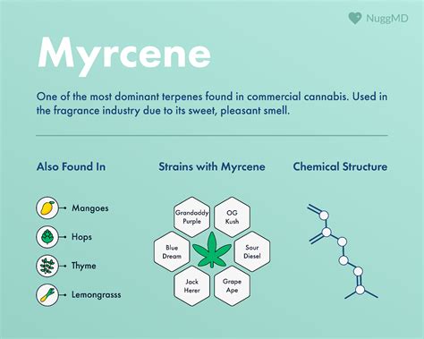  Linalool can help relieve stress, and myrcene tends to have sedative effects