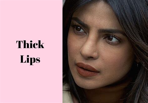  Lips or Flews: The lips are thick and fit loosely, but not pendulously, over the upper and lower jaws