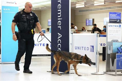  Long story short, K9 units outside airports are even less likely to be drug-sniffers
