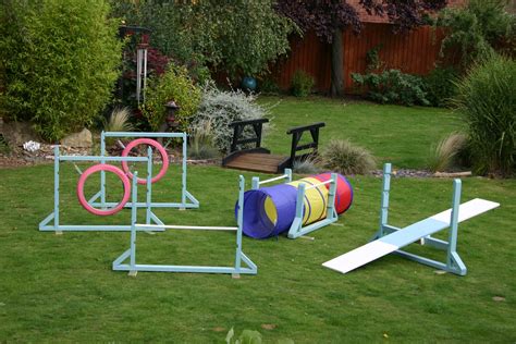  Look for local agility classes or set up your own obstacle course in your backyard