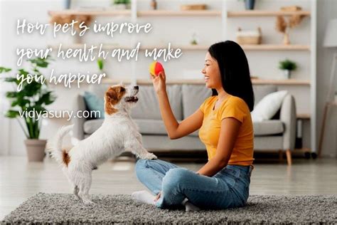  Looking for ways to make life better, healthier, and happier for your dog? Shop online or bring your pet along and stop by our store in Beaverton, OR! Leave a comment