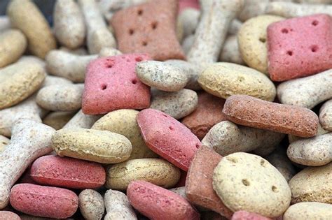  Lower-quality kibble may contain fillers, artificial preservatives, and other ingredients that can be harder to digest and may cause digestive upset in some dogs