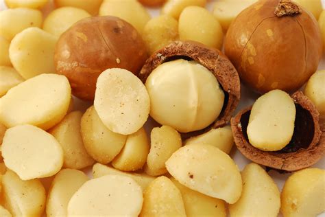  Macadamia nuts Contain an unknown toxin, which can affect the digestive and nervous systems and muscle