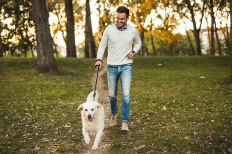  Make sure your dog gets at least 30 minutes of exercise each day, and consider taking them on long walks or runs several times per week