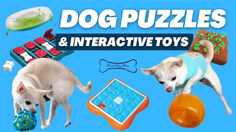  Make time for play, and stimulate their mind with interactive toys and puzzle games