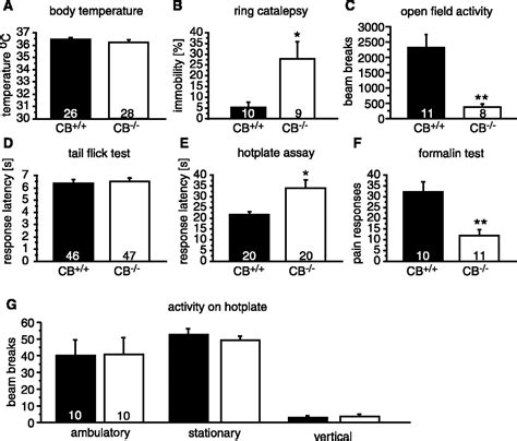  Male but not female CB1 receptor knockout mice showed greater anxiety-like behavior than wild-type controls, despite the fact that rimonabant increased anxiety-like behavior in knockouts of both sexes Bowers and Ressler, , further suggesting that CB1 receptors may function differently in the two sexes