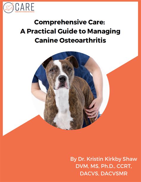  Managing canine arthritis is best accomplished by taking a multi-pronged approach that includes: Regular pain management, including NSAIDs Regular, low-impact exercise like walking or underwater treadmill use