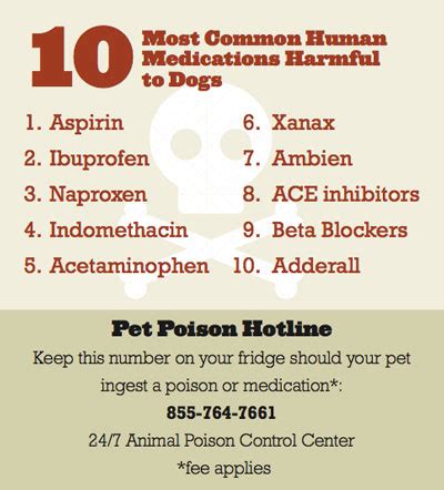  Many human medicines can be lethal to dogs, even in small doses