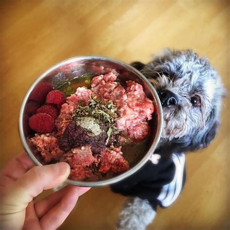  Many pet owners are turning to a BARF diet, which consists of biologically appropriate raw food and supplements like taurine or spirulina
