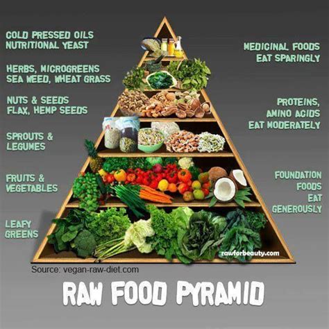  Many raw diet recipes are available online, but what is most important is that you get the right ratio of meat to grains, vegetables and other supplements