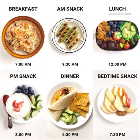  Meal Schedule: Establish a routine with four meals a day