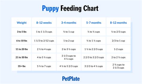  Meals per day: 4 Week-Old Puppy Continue feeding the same as the 8-week-old diet