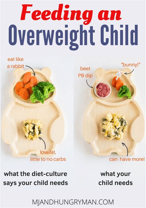  Measure their food to avoid overfeeding and obesity and establish a consistent feeding schedule