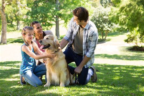  Meet Our Dogs Our dogs are more than just pets — they are family! Our dogs grow up in a loving, family oriented environment and are socialized from a young age