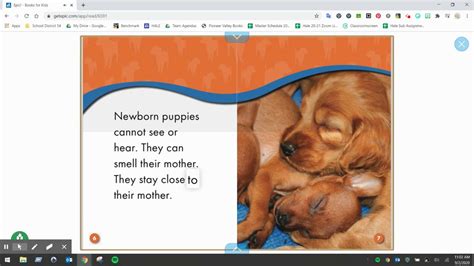  Members Area Buying a Puppy First of all, before buying a puppy, research the breed thoroughly, there are lots of books published about owning bulldogs check out our library and there is a wealth of information on many individual websites