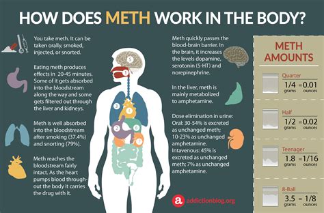  Meth use also dramatically affects brain function