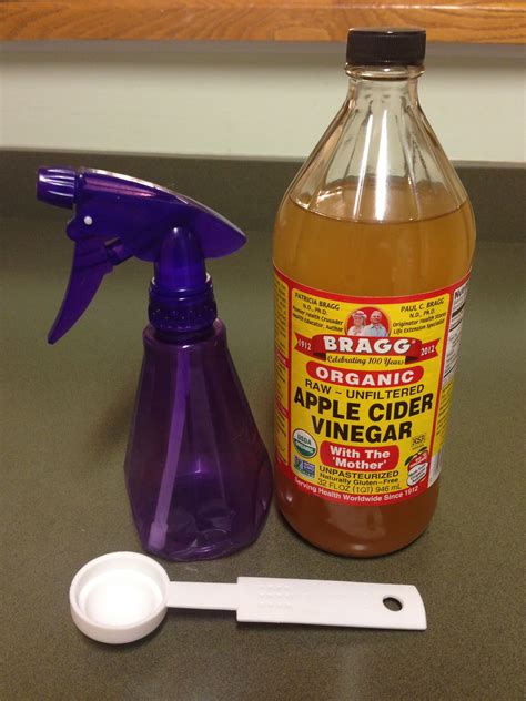 Mix half a cup of water with half a cup of apple cider vinegar a few hours before your test
