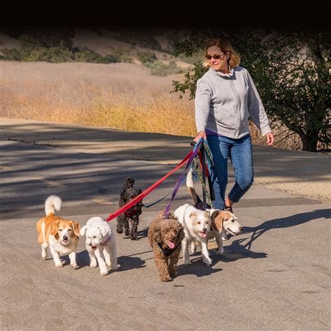  Mo Thompson never planned to be a dog walker — and she definitely didn